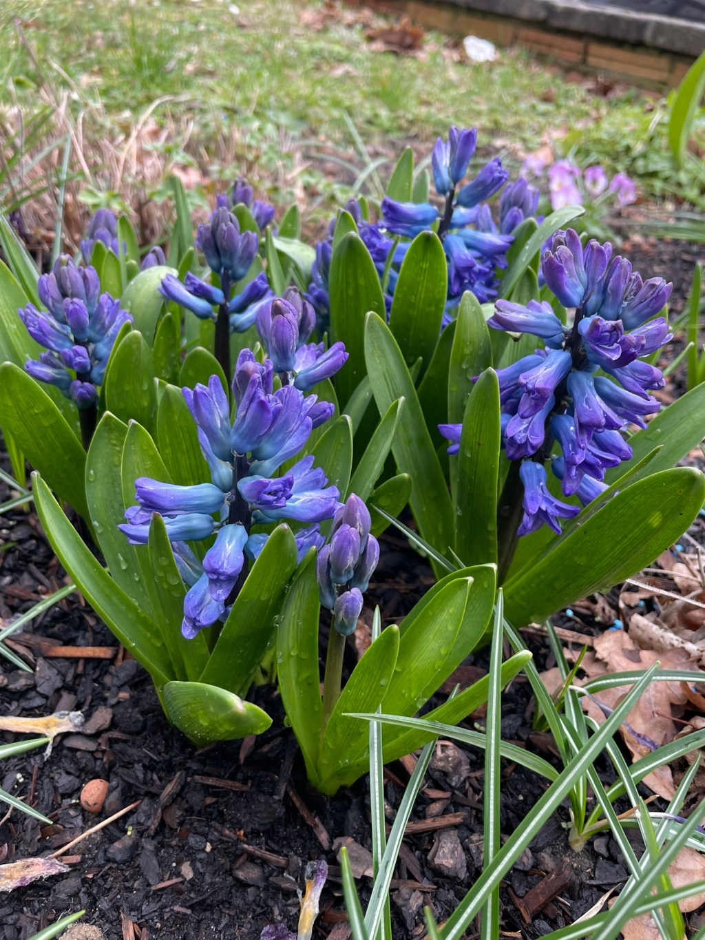 Achtsam durch den Frühling X – Trinke deinen Kaffee/Tee im&nbsp;Freien